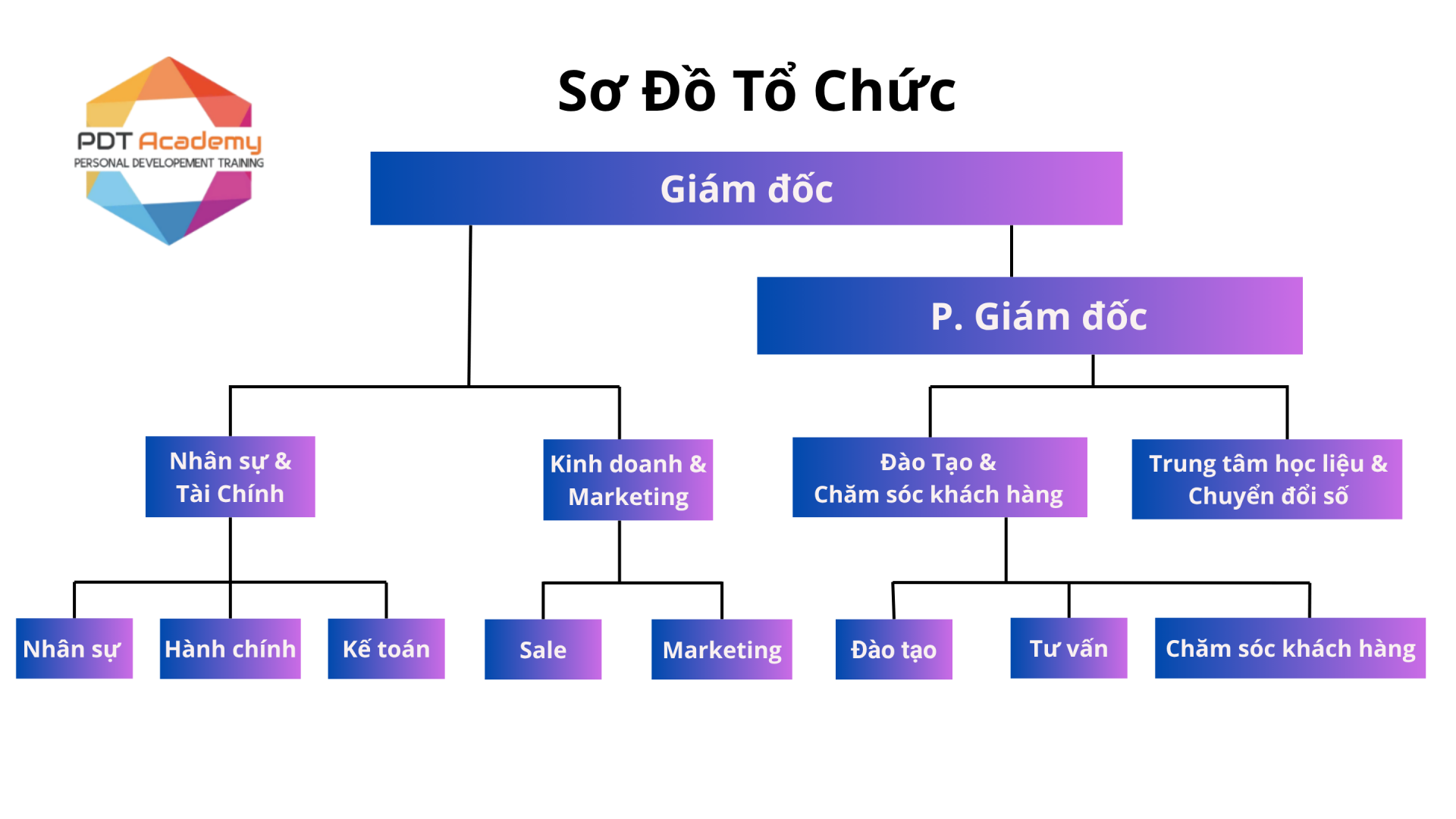 Sơ Đồ Tổ Chức